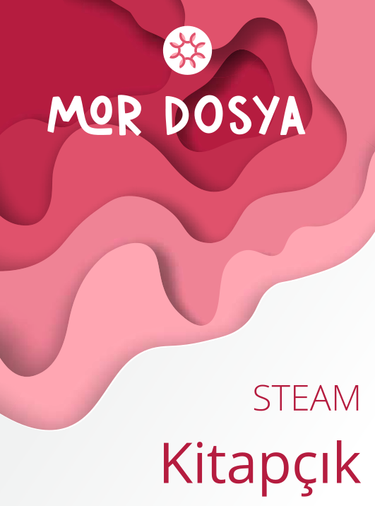 steam kitapçık