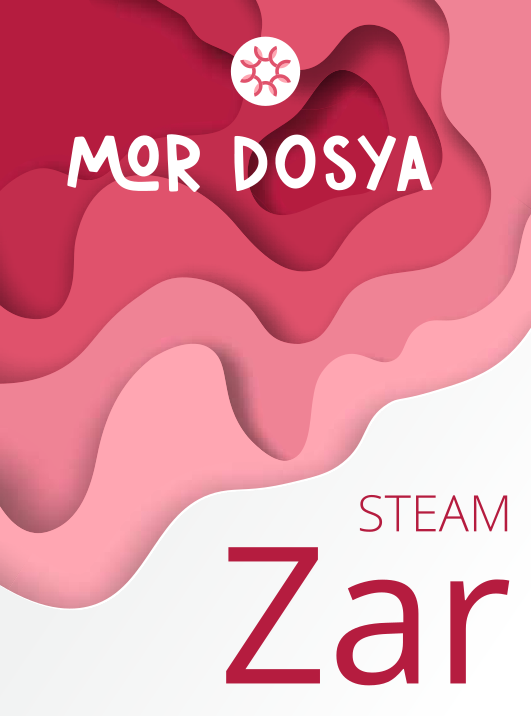 steam zar